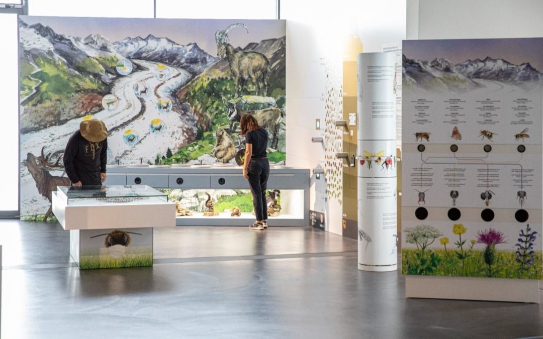 World Nature Forum