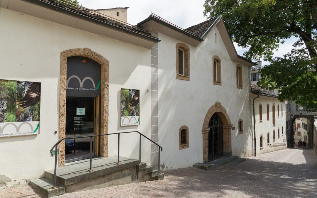 Musée de la nature du Valais