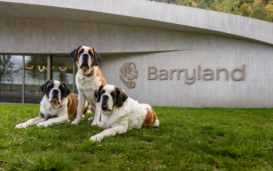 Barryland